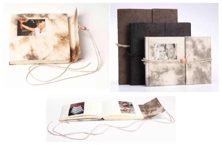 No alt text available