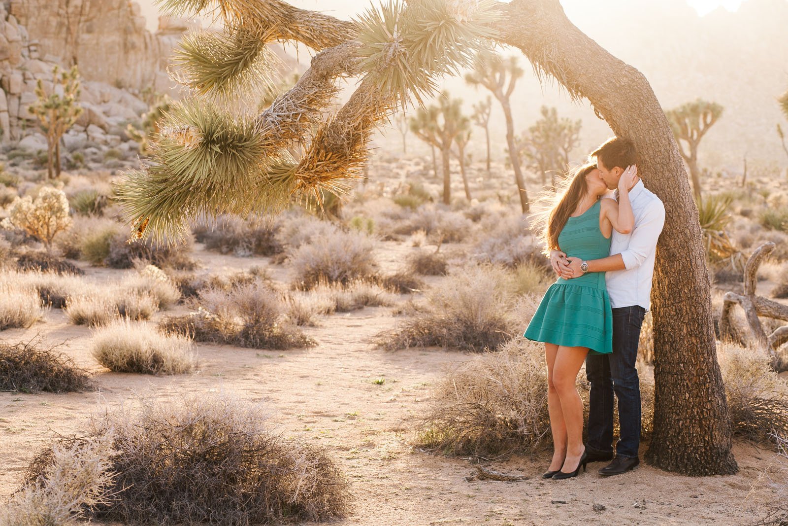 No alt text available