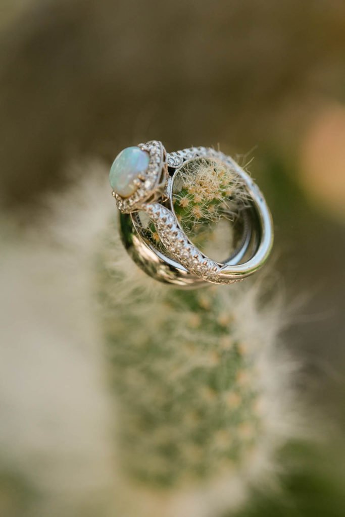 No alt text available