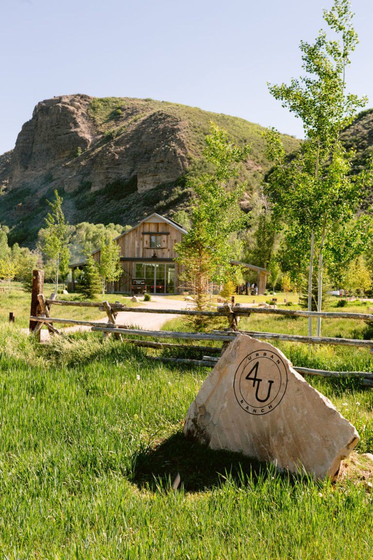 No alt text available