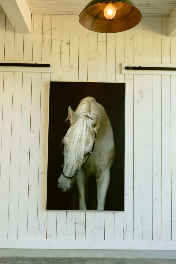 No alt text available