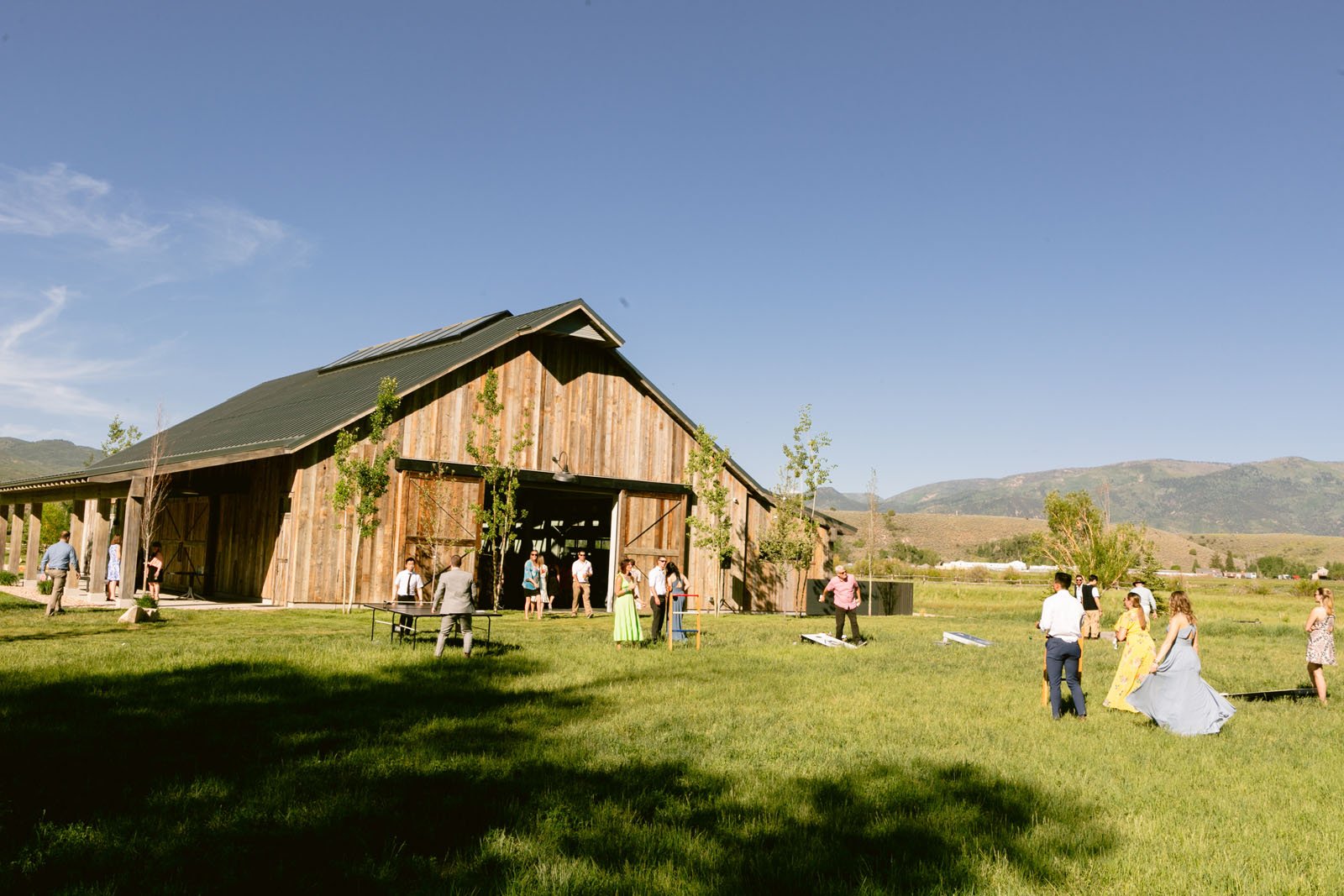 No alt text available