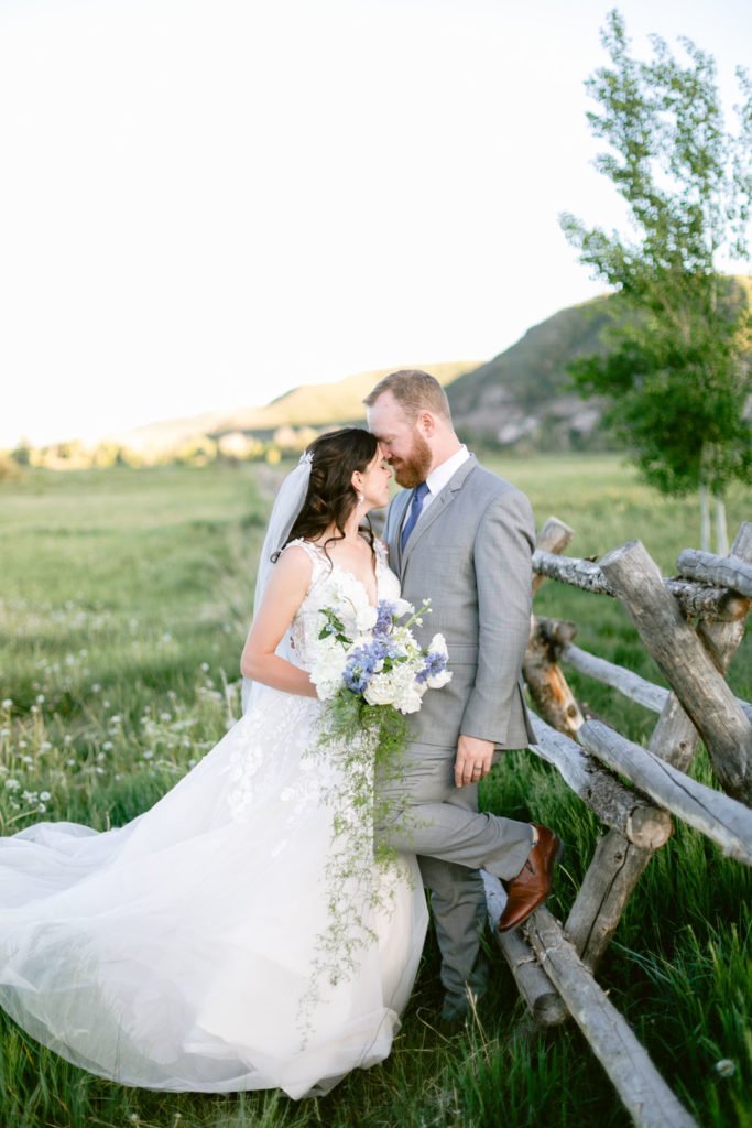 No alt text available