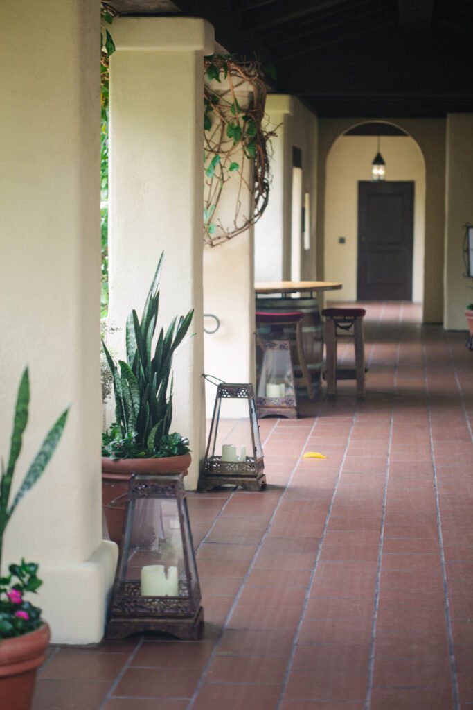 No alt text available