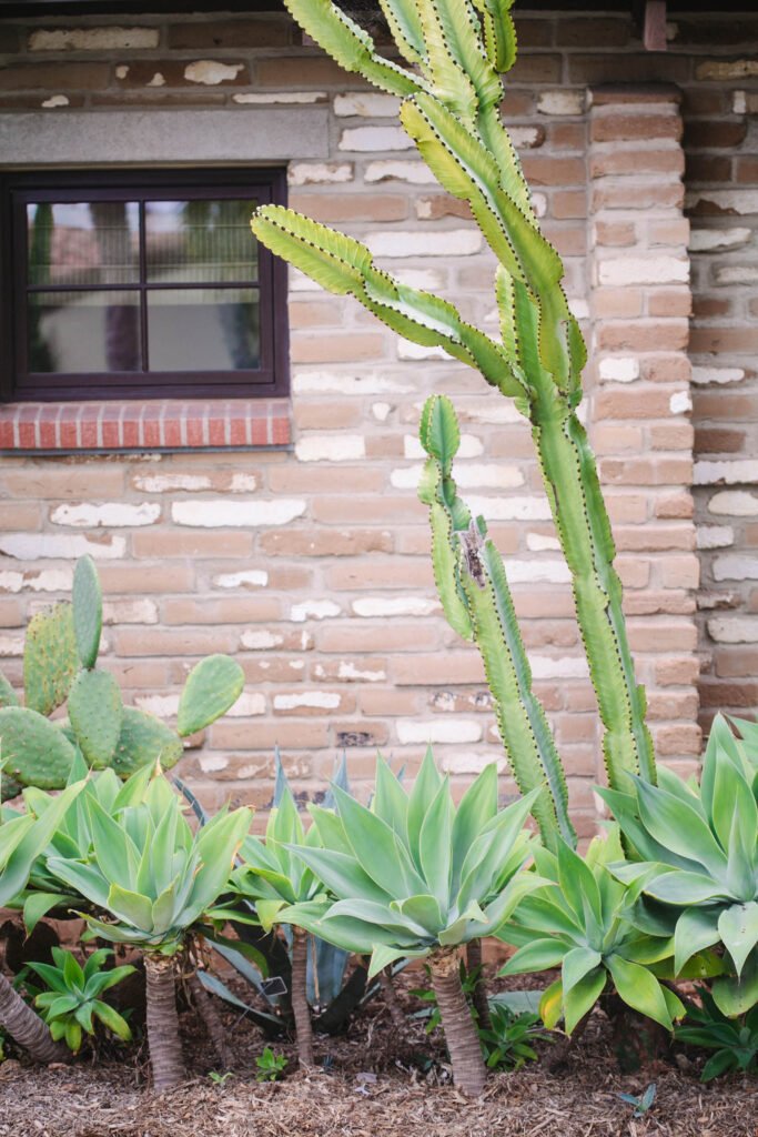 No alt text available