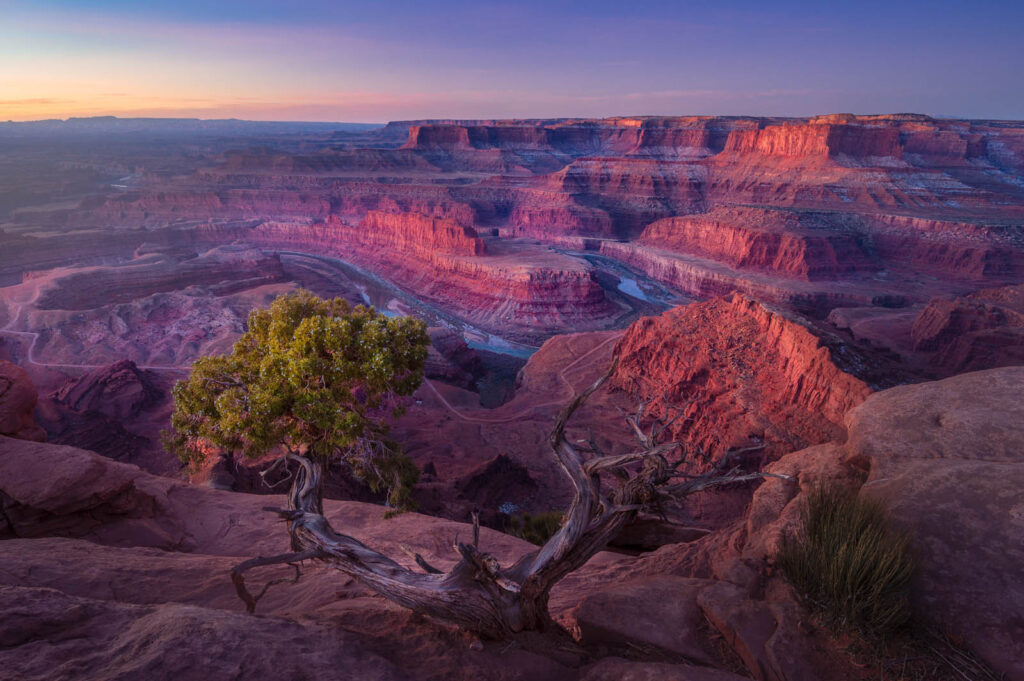 Panoramic views of Canyonlands National Park and the Colorado River make Dead Horse Point State Park a breathtaking location for a Utah elopement.